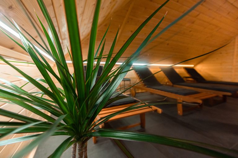 Zen lounge v wellnessu Kozjanskega dvora